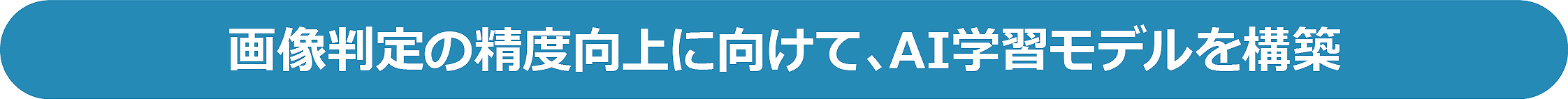 実証実験