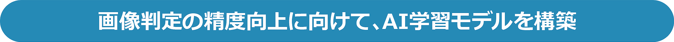 実証実験